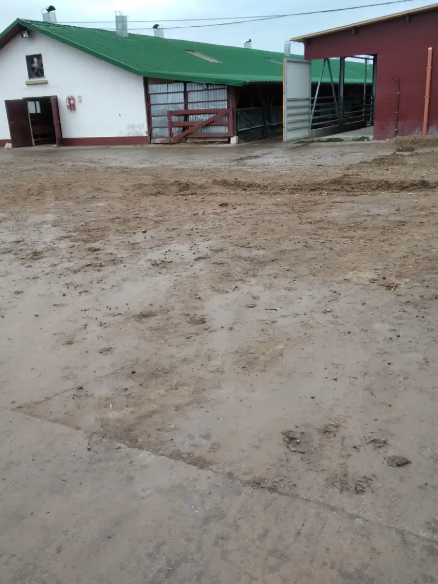 Costructii agro industriale, modernizare și reabilitare grajd comuna Ghiorac